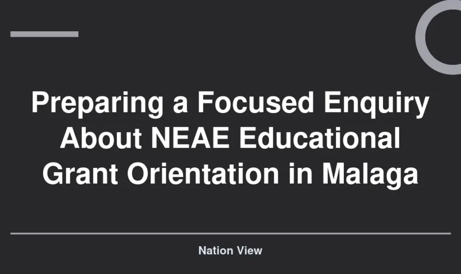 Preparing a Focused Enquiry About NEAE Educational Grant Orientation in Malaga