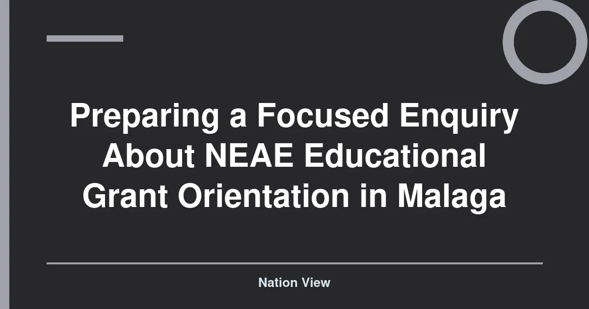 Preparing a Focused Enquiry About NEAE Educational Grant Orientation in Malaga